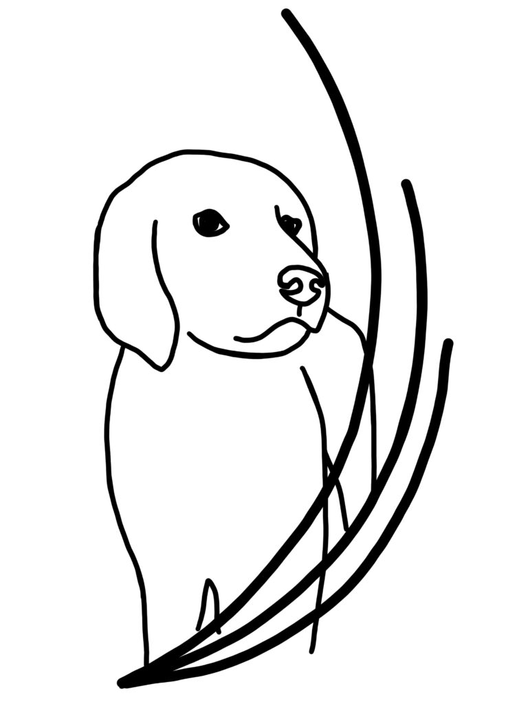 outline of a dog drawn in black ink. The dog is filled with white. The dog looks like a Labrador Retriever. There are three swooping lines drawn starting from the bottom left corner of the image and up to the top right corner of the image.